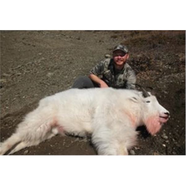 Ultima Thule Goat Hunt