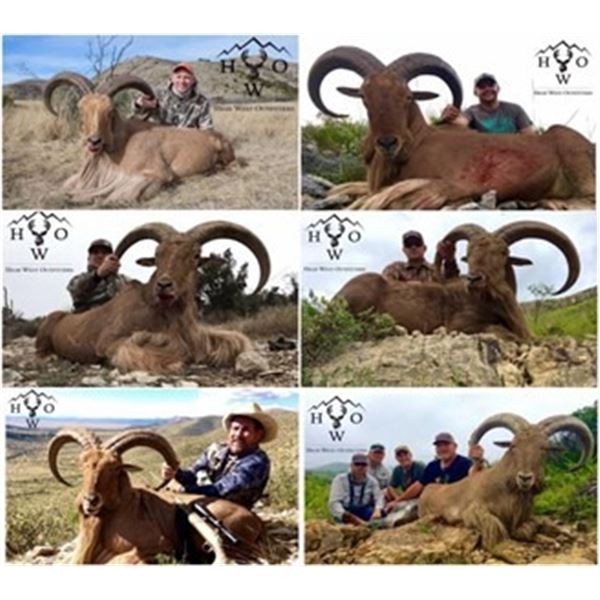 Texas Aoudad Hunt for 2 hunters