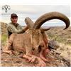 Image 2 : Texas Aoudad Hunt for 2 hunters
