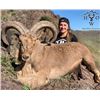 Image 3 : Texas Aoudad Hunt for 2 hunters
