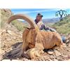 Image 5 : Texas Aoudad Hunt for 2 hunters