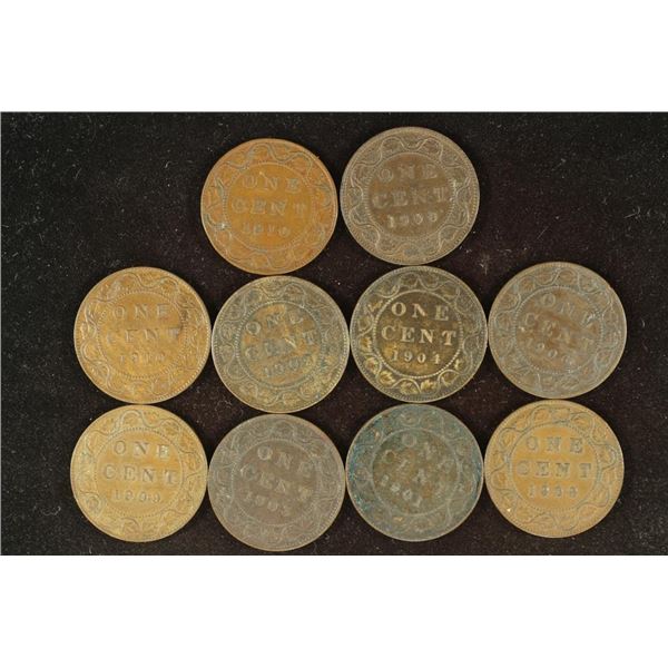 10 ASSORTED 1900-1910 CANADA LARGE CENTS