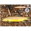 Image 1 : 2-Night Stay, Fly Fishing & Fly Fishing School in Missouri