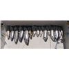 Image 3 : Lake Ontario Salmon & Trout Charter for 4
