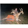 Image 2 : White-Tailed Deer Archery Hunt in Pike County, IL!