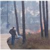 Image 1 : Wildlife/Forestry Consulting Package - Southern Forestry Consultants