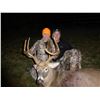 Image 3 : Kentucky Special Commissioners White-tailed Deer Tag