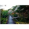 Image 2 : Belize Vacation - The Cotton Tree Lodge