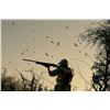 Image 2 : Cordoba Valley Dove Hunt for 2 Hunters