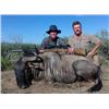 Image 3 : Namibia Safari for 3 Hunters