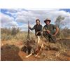 Image 4 : Namibia Safari for 3 Hunters