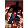 Image 1 : Marvel Comics "Fear Itself: Spider-Man #1" Numbered Limited Edition Giclee on Ca