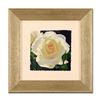 Image 2 : Brian Davis, "French Lace with Bud", Limited Edition Giclee, Numbered and Hand S