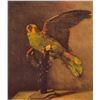 Image 1 : Van Gogh - Parrot