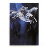 Image 1 : Edwin Salomon, "Zebras in Blue" Hand Signed Limited Edition Serigraph with Lette