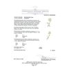 Image 3 : 0.53 ctw Diamond and Pearl Flower Pin - 18KT White Gold