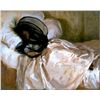 Image 1 : Sargent - The Mosquito Net