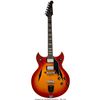 Image 1 : Trini Lopez Personally Owned and Played Deluxe Model Gibson Electric Guitar. Mad