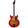Image 1 : Trini Lopez Owned and Played Custom Built "The Heritage" Electric Guitar.  Custo