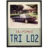Image 1 : Trini Lopez Vanity California License Plate. Housed in a frame (that measures 12
