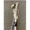 Image 2 : Large Expandable Pruner