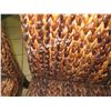Image 8 : Qty 4 Woven Chairs 19" x 16" x 36" Back Ht.