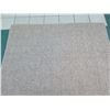 Image 2 : Area Rug 6ft X 12ft (one section stained or discolored)