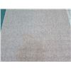 Image 3 : Area Rug 6ft X 12ft (one section stained or discolored)