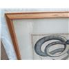 Image 2 : Framed Art Print - Snake & Other Reptiles 32"X28"