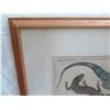 Image 2 : Framed Art Print - Lizards & Other Reptiles 32"X28"