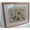 Image 1 : Framed Art Print - Frogs & Other Amphibians/Reptiles 32"X28"