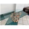 Image 2 : New Crate & Barrel Driftwood Coffee Table Base (29" Across, 18"H) & New Glass Top 28X48