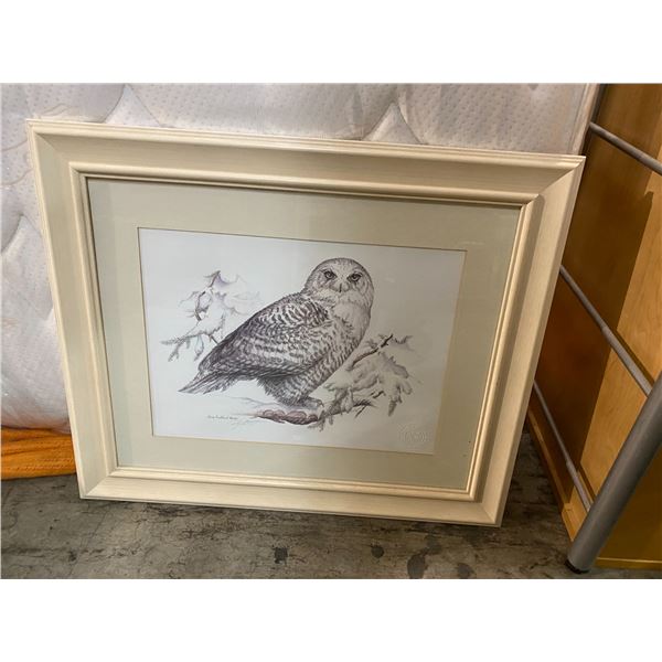Sketch Owl