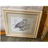 Image 1 : Sketch Owl