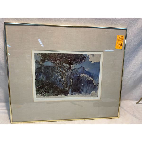 Island pine 176/200