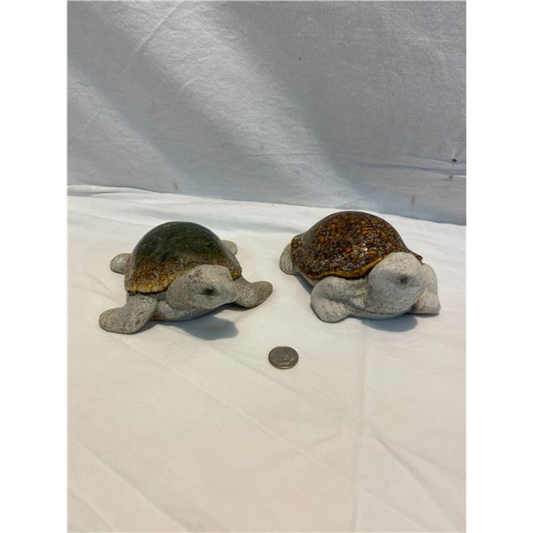 Two turtles