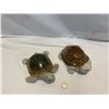 Image 2 : Two turtles