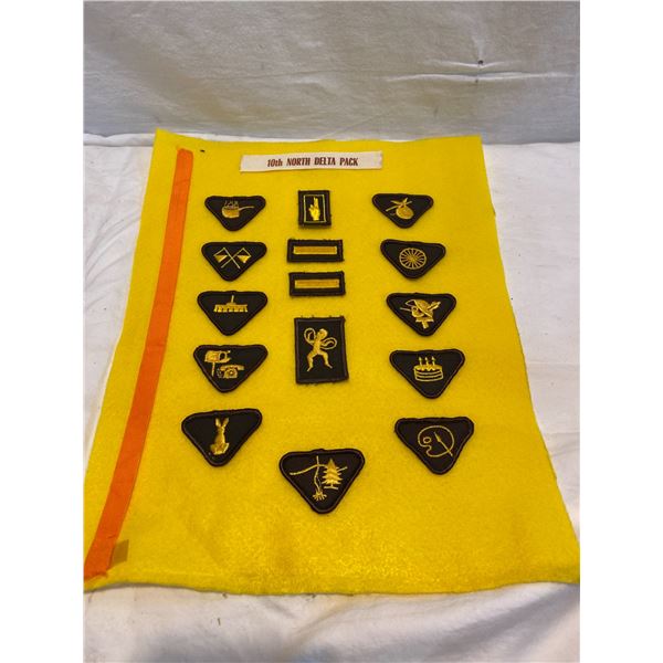10th north Delta pack badges