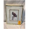 Image 1 : Eagle picture