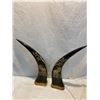 Image 1 : Decor horns