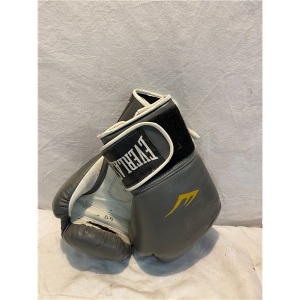 Everlast gloves