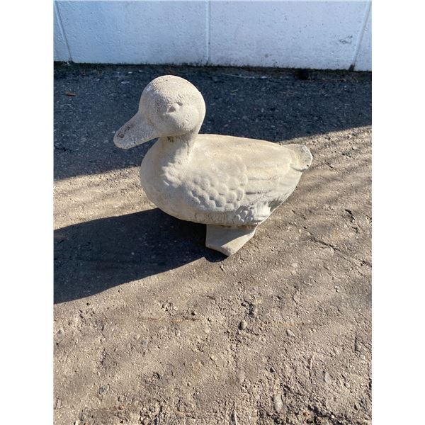 Duck