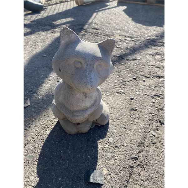 Raccoon