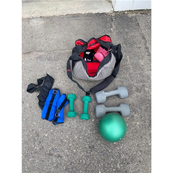 Weights and bag