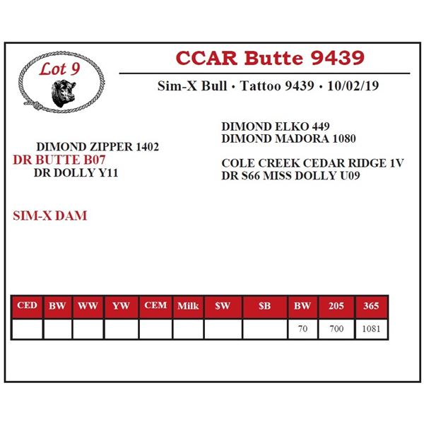 CCAR Butte 9439