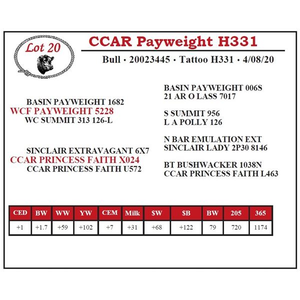 CCAR Payweight H331