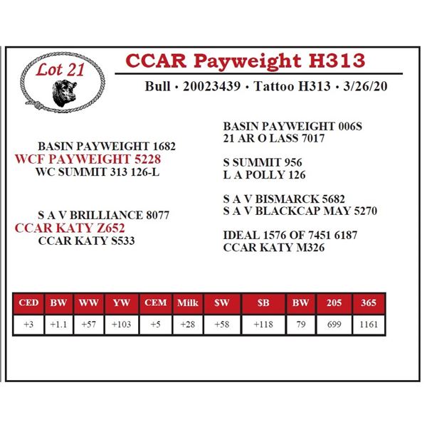CCAR Payweight H313
