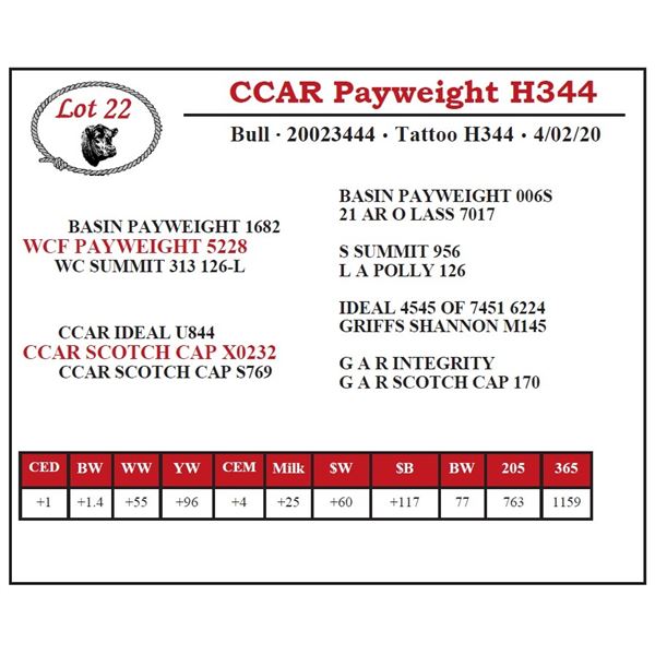 CCAR Payweight H344