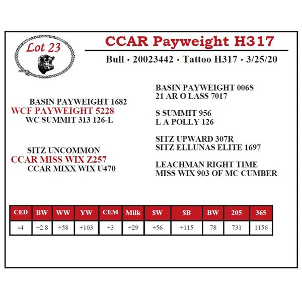 CCAR Payweight H317