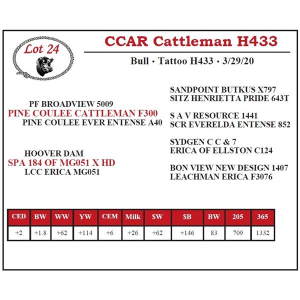 CCAR Cattleman H433